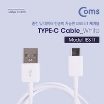아이패드 프로3/4세대 Type C 충전/데이터 케이블 (USB), 1개, 화이트