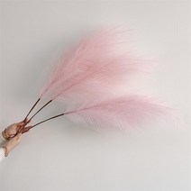 대형 화분 39 인치 팜파스 잔디 크고 풍성한 꽃다발 웨딩 파티 홈 인테리어 식물 큰 100cm 리드 보헤미안, 03 3_01 1-pcs