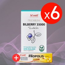 하이웰 프리미엄 빌베리 35000 + 루테인 10mg 60베지캡슐, 6개