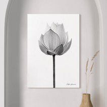 더 아트 컴퍼니 부모님 사업 수험생 시험 성적 합격 풍수 연꽃그림 재물운 금전운 올려주는 꽃 액자 거실 침실 수능방 캔버스 가족 선물 21종, 13. 흑백 연꽃B