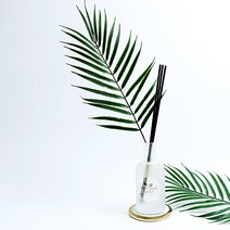 아레카야자수잎 디퓨저, 페로몬데이