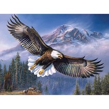 웅응전시 (캔버스) 보석십자수 40x50, 단품, 상세 설명 참조