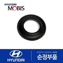 부트-캘리퍼 브레이크 (581143N500) 제네시스 제네시스 G80 뉴 에쿠스 제네시스 EQ900 K9 더뉴 K9