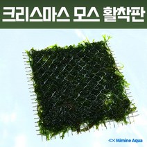 미미네플랜츠 크리스마스 모스 활착판 8x8cm, 없음