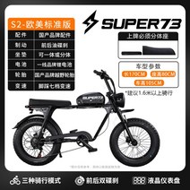 전기 자전거 산악 자전거 파워 페달 전동 파워 고성능, H타입, 13AH