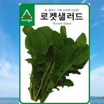 아시아종묘 루꼴라씨앗 로켓샐러드 (12g), 1개