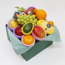 과일꾼 산지직송 나주배 ( 가정용 / 과일선물세트), 가정용 5kg 12과내, 1box