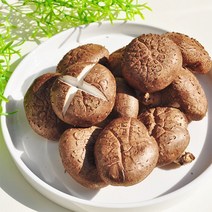 장흥 생표고버섯 1kg 가정용특품, 1개