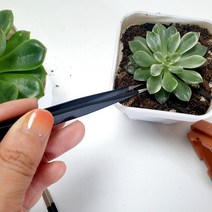 블랙 다용도 정밀 핀셋 곡선 일자 다꾸 테라리움 원예 분갈이 전문가용, 블랙 다용도 정밀 핀셋 A형