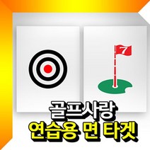 면타겟(중형) 골프타겟 골프연습용타겟 과녁 깃발-72394EA gian7978*6673465kJ