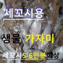 (쌍다리상회)생물 가자미 세꼬시 식해 물가자미 30마리 2kg이상, 생물 물가자미 세꼬시 식해 30마리 6-7인분 생물, 1개