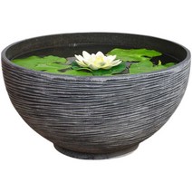 수경 화분 플라스틱 연못 수중식물 수반 원형 연꽃 수련, 블랙 S사이즈(직경 35cm)