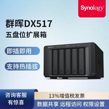 nas 구축 DS923+ 가정용 Synology dx517synology 5-디스크 확장 백업 ds918+ ds920+ 확장 박스 하드 디스크 박스, dx517 표준(디스크 제외) ❤ 맞춤형 슈트 할