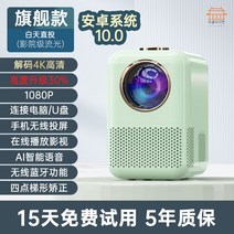 미니빔 빔 프로젝트 가정용 프로젝터 4K, 옵션6