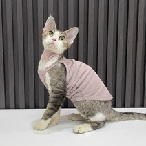 여름 스핑크스 애완 동물 고양이 옷 코튼 키튼 조끼 셔츠 캐미솔 소프트 데본 렉스 의류, [06] XXXL, 03 Dark Pink_06 XXXL