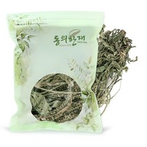 동의한재 자연산 국산 햇 차전초 질경이차 질경이풀 500g, 단품