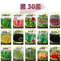 콩 씨앗 완두콩 종자 강낭콩 호랑이콩 곡류 곡물 옥수수 채소 씨 농사마트, 10. 아라리팥 30g