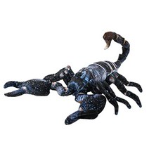 와일드그라 SA049 곤충인형 장수풍뎅이 전갈 메뚜기, scorpioncm