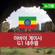 에티오피아 생두 아바야 게이샤 G1 내추럴 Abaya Geisha G1, 1KG, 1kg, 1개