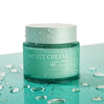뷰디아니 모이스트 수분크림 50ml 수분 보습 속건조 기미 잡티 좁쌀 여드름 트러블 저자극 마일드 기초 비건 미백 동안 물광 영양, 크림 1개
