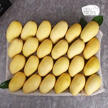 [델리후르츠] 필리핀 카라바오 생망고 5kg 24과 선물세트, 단품, 상세설명 참조