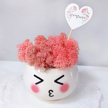 스마일컴퍼니 스칸디아모스 돌답례품 결혼답례품 칠순 환갑 팔순 답례품 단체 선물 공기정화식물, 1개, 03_답례품_큐트얼굴+망사주머니_핑크