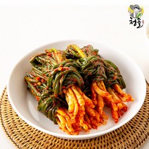[청솔] 전라도 파김치1kg 고춧가루 한톨까지 국내산, 1kg, 1box