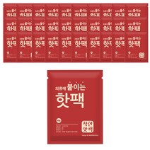 모던홀릭 착한 핫팩 의류에 붙이는 핫팩 40g 100매