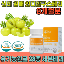 식약처 인증 신의 열매 인디안 구스 베리 비타민 C 110mg 유기농 원료 28종 세븐베리 무부형제 무첨가물 하루 한알 임신 전 후 직장인 간편하게 먹는 영양보충제 파는 곳 추천, 4