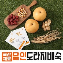 정성껏 달인 도라지배숙 100ml 60포 선물용, 1박스