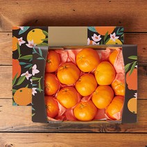 제주 레드향 선물세트, 2.6kg 15-18과