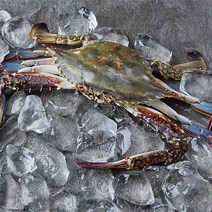 자연맛남 [산지직송] 전남 고흥 활 숫꽃게 2kg (대/4-6미), 1