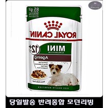 사료 애견사료순위 3개월강아지사료추천 노령견 건강관리 용이한 푸들사료추천
