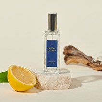 와이지메디 엣 이즈 아로마 손소독제 30ml 샤인시트러스(블루) 손소독제 손세정제 핸드스프레이 소독스프레이 핸드워시 에탄올 살균제 손살균제 핸드살균제 클린스프레이, 옵션고르기☞