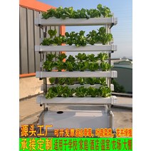 수경재배기 식물재배기 스마트팜 가정용 야채 채소 키우기 NFT 무토양 재배 딸기 심기 양면 수직 프레임 수경 장비 발코니 다층 기계, [01] 스테인레스 스틸, [05] 맞춤형