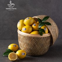 바른팜 팬시 레몬, 1box, 레몬 개당 110g내외 32과