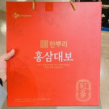 씨제이 한뿌리 홍삼대보 40ml x 24입