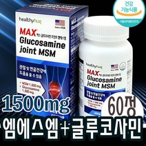 msn 엠에스엠 글루코사민 관절 고관절 허리 무릎 손가락 손목 영양제 약 1개월분