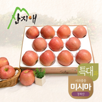 산지애 알뜰 못난이사과특대 4kg 1box 당도선별 미시마 174843