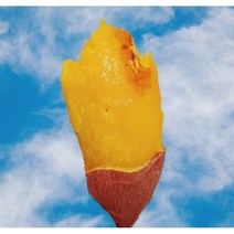 꿀가득 여주황토꿀고구마 5kg/10kg 산지직송, 꿀(왕) 10kg