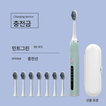 가정용 진동 연모칫솔 충치기 충전식 자동 초음파식 성인 전동칫솔, 색깔9, 하나