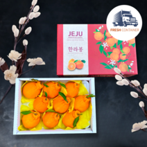 [꿀당도] 프리미엄 한라봉 제주한라봉 선물세트 선물용 가정용, 가정용 10kg (혼합과 / 40과수내외)