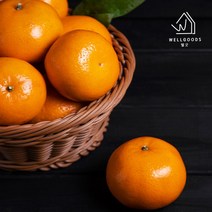 웰굿 [웰굿] 당도선별 제주 타이백 감귤 4.5kg(소과2S13brix이상), 1
