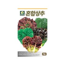 다농 혼합상추 씨앗 6g, 1개