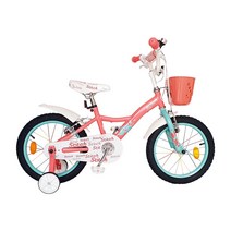 성인보조바퀴자전거 가격비교 구매