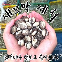 Udle 꼬막 꼬막제철 꼬막살 1kg 3kg 5kg, 생물새꼬막1kg