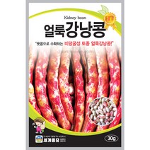 비넝쿨 얼룩 강낭콩 씨앗 콩씨앗 종자 bean seed 30g, 1개