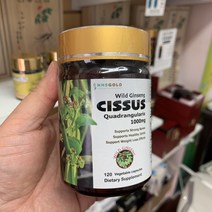 [미국직구] 산삼시서스 산삼과 시서스 분말 캡슐 120 캡슐