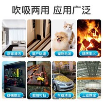 집진기 미세먼지 소형 용 이동식집진기 Dayi 리튬 전기 헤어 드라이어 송풍기 가정용 고출력 야외 무선 송풍 및 흡입 이중 용도 컴퓨터, [09] 【1】