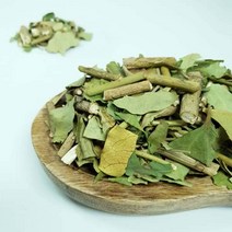 백장생 국내산 황칠나무잎 (잎/가지), 200g, 1개, 1개